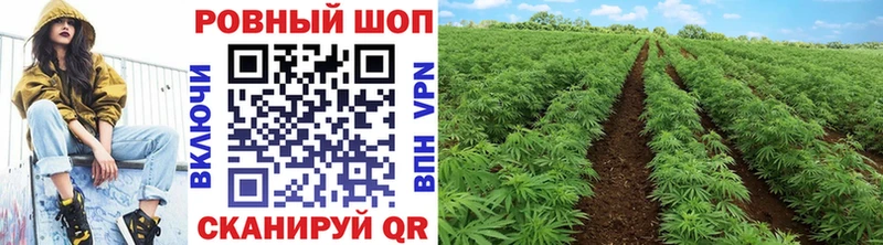 Купить закладку КОКАИН  А ПВП  Марихуана  Героин  Мефедрон  Кунгур