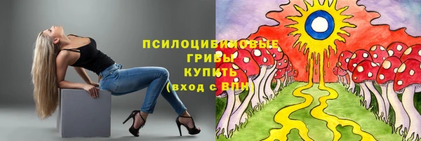 соль курить ск Ельня