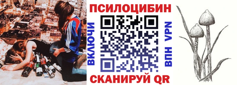 Псилоцибиновые грибы прущие грибы  Купить закладки  Кунгур 